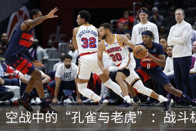 空战中的“孔雀与老虎”：战斗机的较量与飞行员的吐槽